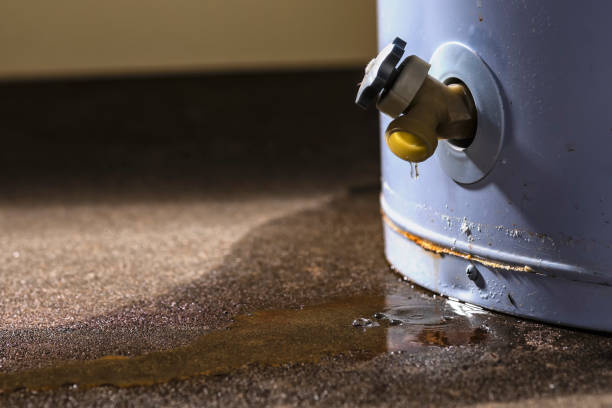 Best Sewage cleanup and water damage restoration  in Atascocita, TX