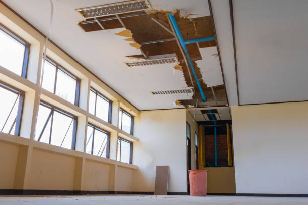 Best Local water damage restoration  in Atascocita, TX