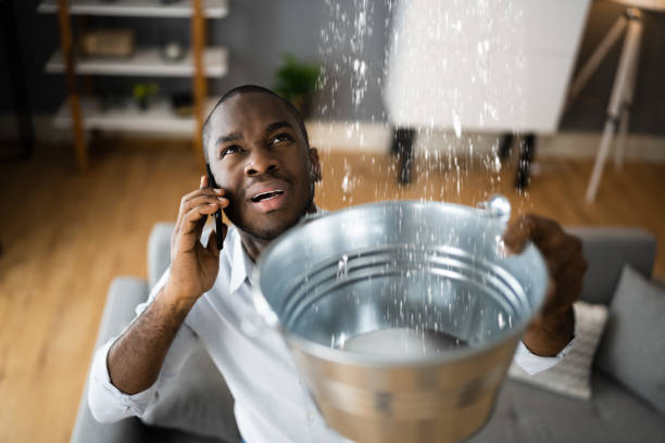 Best 24-hour water damage restoration  in Atascocita, TX
