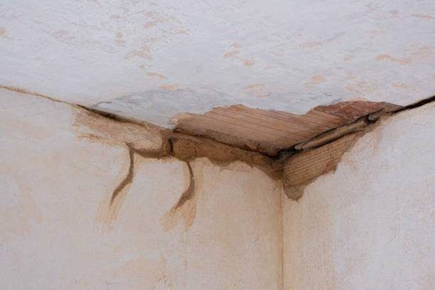 Best Mold removal after water damage  in Atascocita, TX