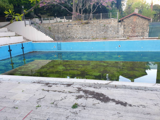 Best Flood restoration services  in Atascocita, TX