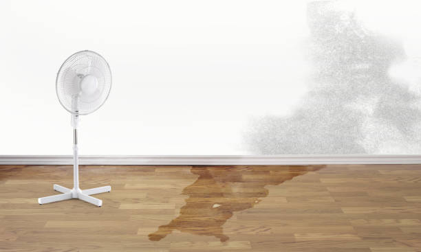 Best 24/7 water damage repair  in Atascocita, TX