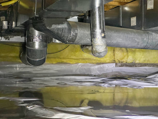 Best Carpet water damage restoration  in Atascocita, TX