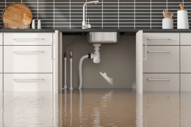 Best Residential water damage restoration  in Atascocita, TX